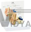 Ear Anatomy Model Cochlea Auditory Canal